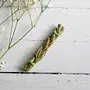 Sweetgrass Smudge Braid - 4"