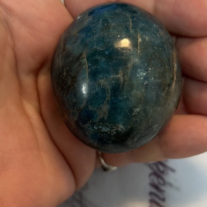 Blue Apatite Palm Pillow  - XL