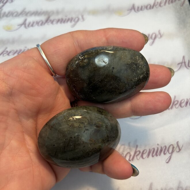 Black Labradorite Palm Stone Medium- High Flash