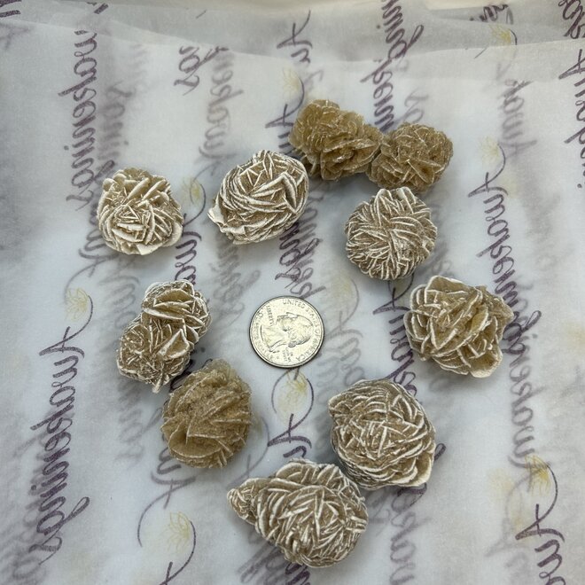Single Desert Rose Extra Large XL - Rough Raw Natural