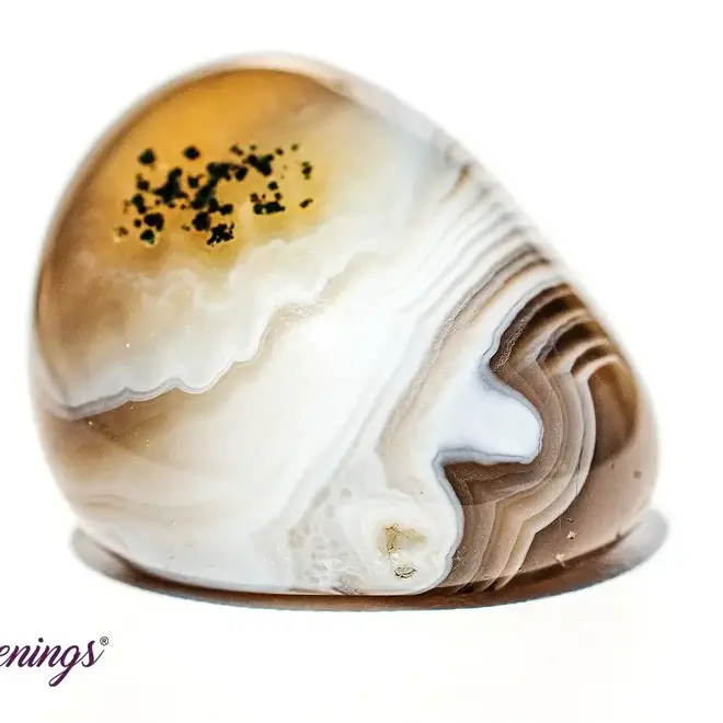 Grey Botswana Agate - Tumbled Large