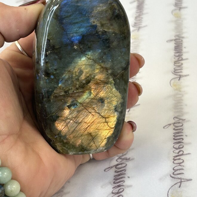 Black Labradorite Free Form Large