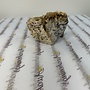 Dalmatian Jasper Raw 15 oz