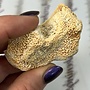 Natural Coral Fossil Chunk - Small