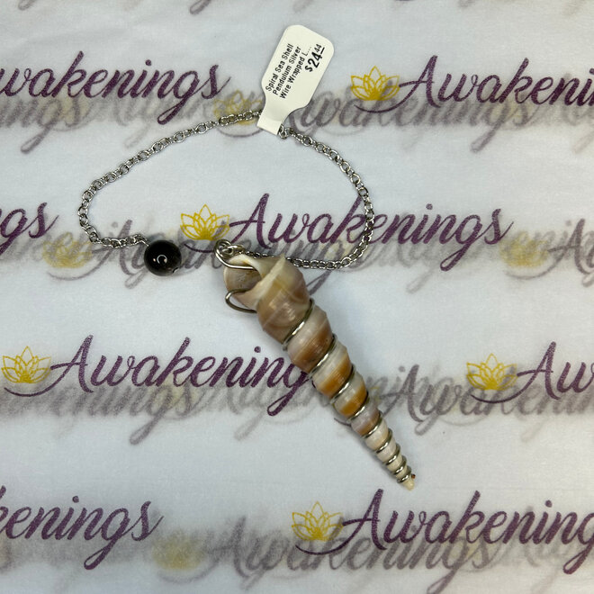 Spiral Sea Shell Pendulum Silver Wire Wrapped Local Hand Made