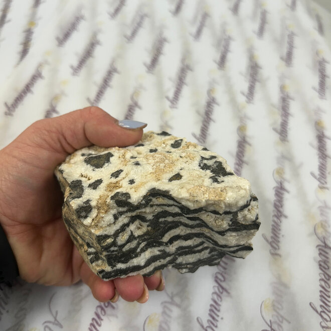 Zebra Jasper Raw  1Lb 10oz