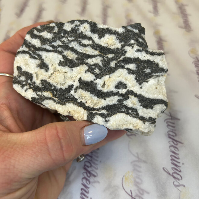 Zebra Jasper Raw  1Lb 10oz