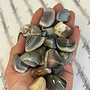 Grey Brazilian Botswana Agate - Tumbled Medium