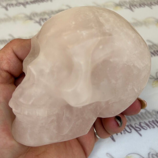 Rose Quartz Skull XXL - Aprox 1 Lb 5oz  3'' x 4'' x 2.5''