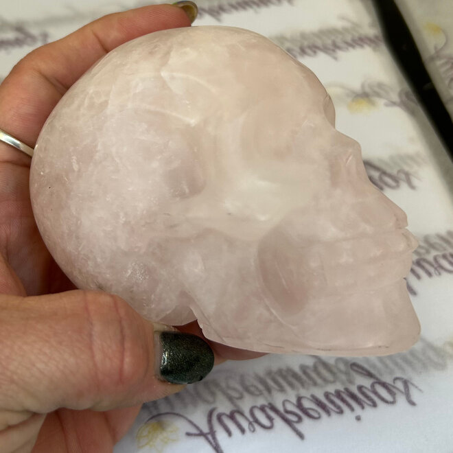 Rose Quartz Skull XXL - Aprox 1 Lb 5oz  3'' x 4'' x 2.5''