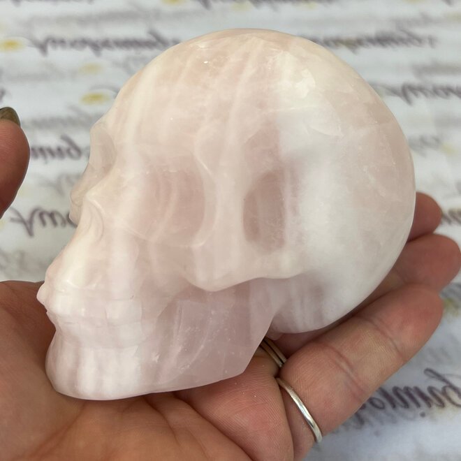 Rose Quartz Skull XXL - Aprox 1 Lb 5oz  3'' x 4'' x 2.5''
