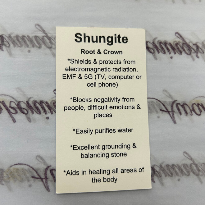Shungite Figurine - Bear