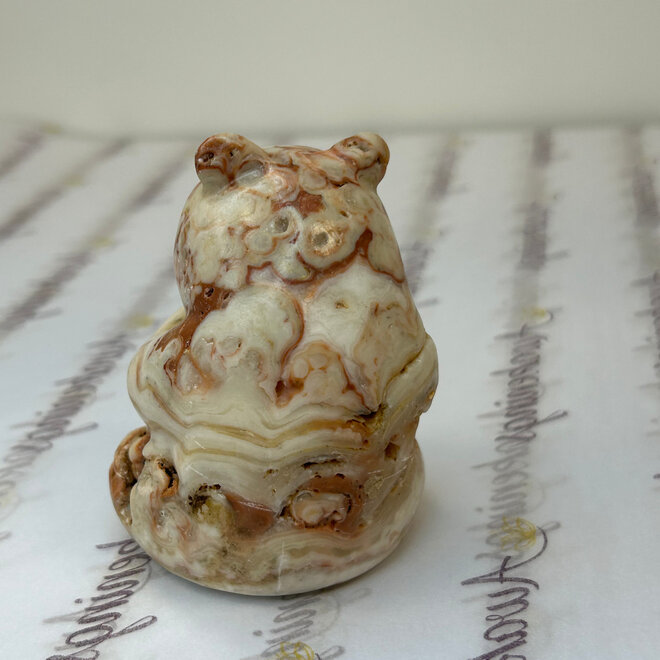 Mexican Crazy Lace Agate Bear Carving Large