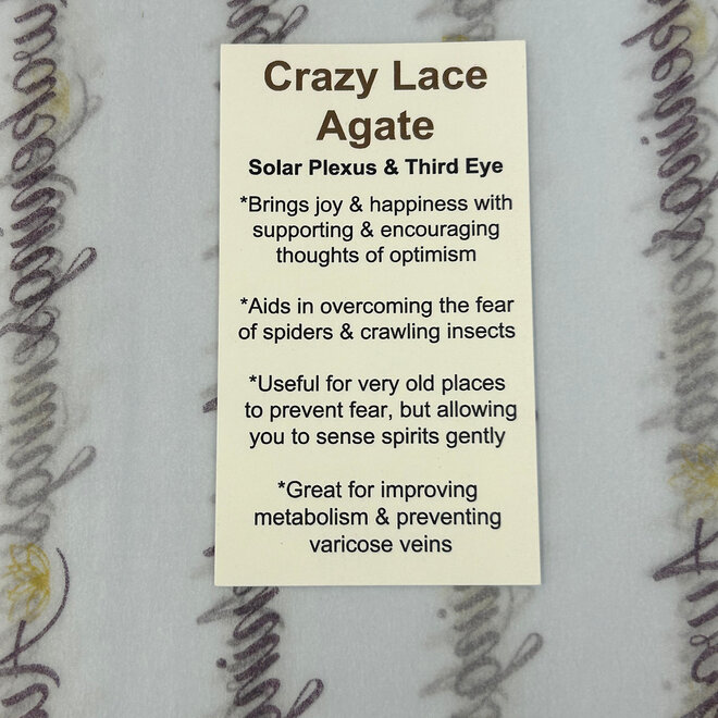 Mexican Crazy Lace Agate Bear Carving Large