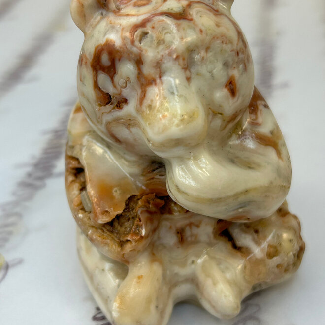 Mexican Crazy Lace Agate Bear Carving Large
