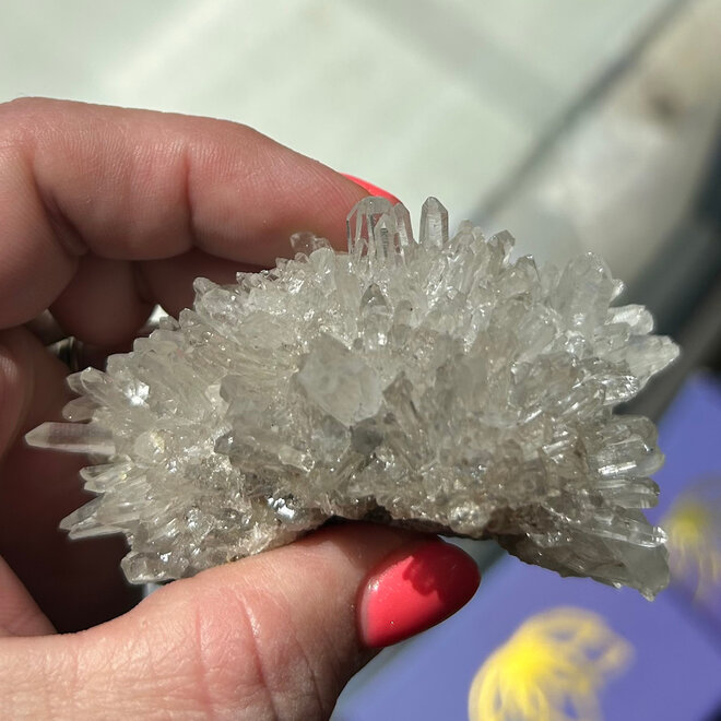 Lemurian Seed Crystal Cluster  4.6oz -&  Metal Display Stand