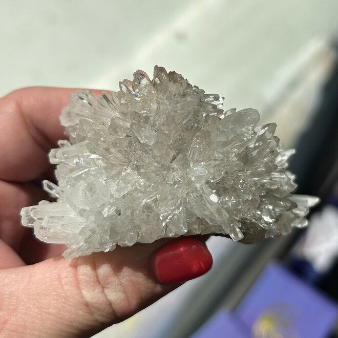 Lemurian Seed Crystal Cluster  4.6oz -&  Metal Display Stand