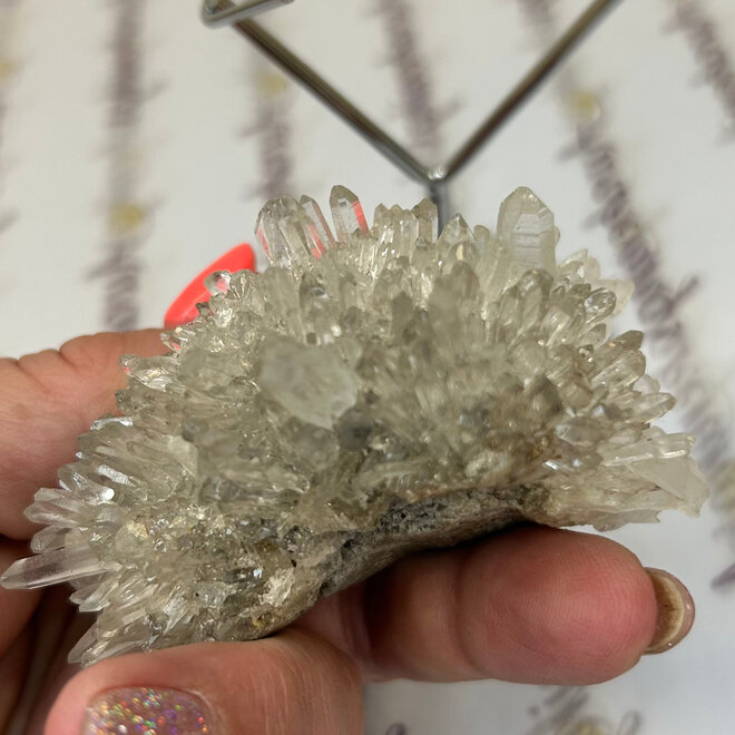 Lemurian Seed Crystal Cluster  4.6oz -&  Metal Display Stand