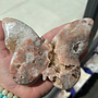 Druzy Pink Amethyst Butterfly 1 lb. 5 oz, 5.5'' X 4''