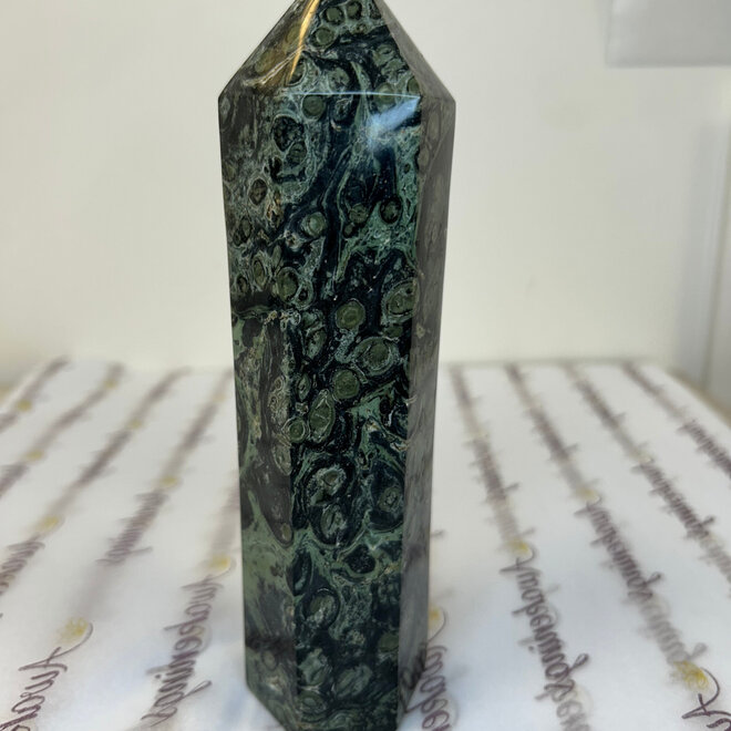 Crocodile (Kambaba) Jasper Tower 7'' -1 lb 10 oz