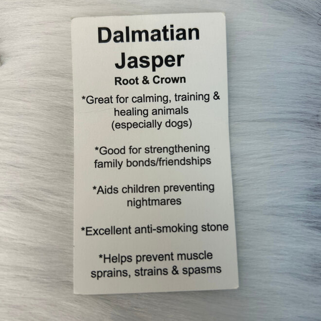 Dalmatian Jasper Double Point Pendant on 19'' Wax Cord