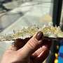 Clear Quartz Cluster Points Raw Specimen 5.5'' x 2''