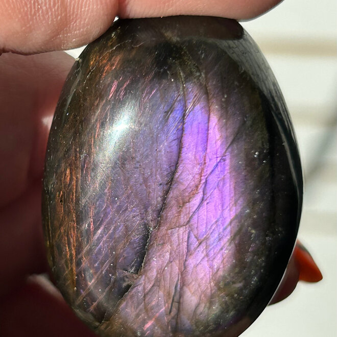 Purple Lab Skull Carved Palm Stone 2'' X 1''