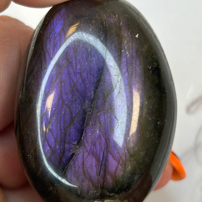 Purple Lab Skull Carved Palm Stone 2'' X 1''