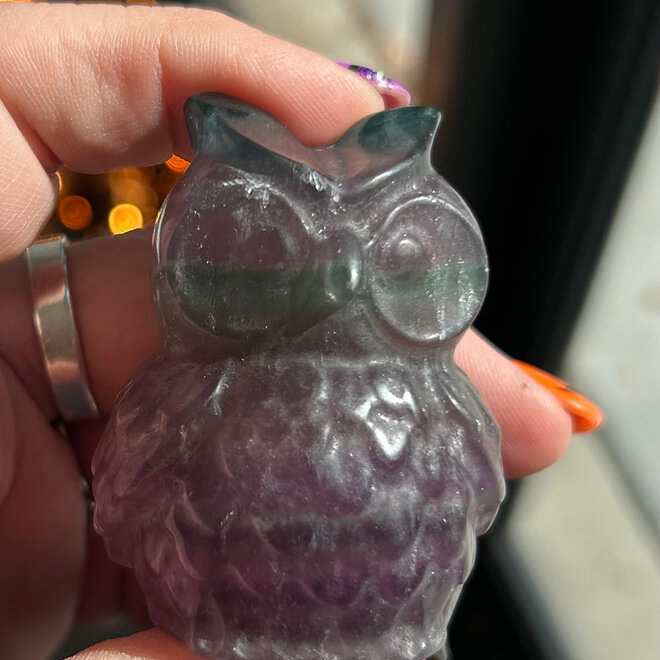 Rainbow Fluorite Owl 2.5''