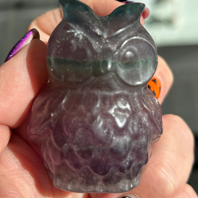 Rainbow Fluorite Owl 2.5''