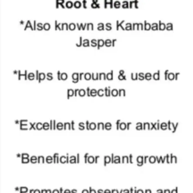 Crocodile (Kambaba) Jasper (Green Stromatolite) - Tumbled