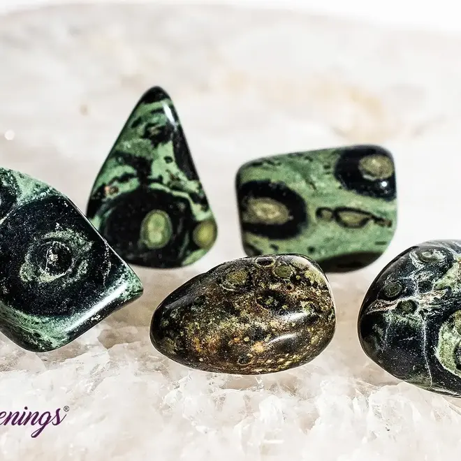Crocodile (Kambaba) Jasper (Green Stromatolite) - Tumbled