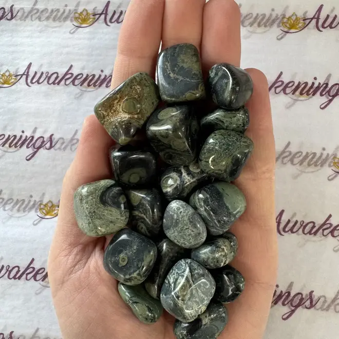 Crocodile (Kambaba) Jasper (Green Stromatolite) - Tumbled