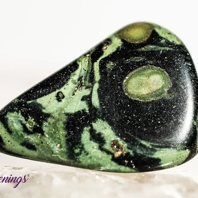 Crocodile (Kambaba) Jasper (Green Stromatolite) - Tumbled