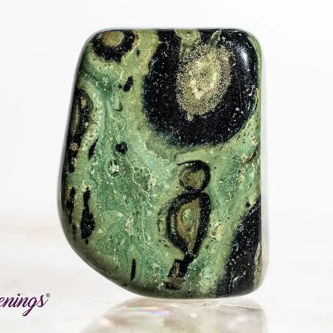Crocodile (Kambaba) Jasper (Green Stromatolite) - Tumbled