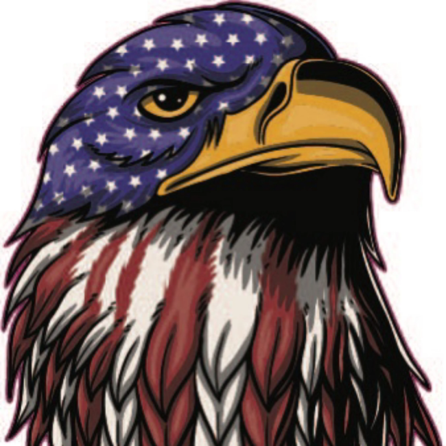 SLE Customs American Eagle Sticker
