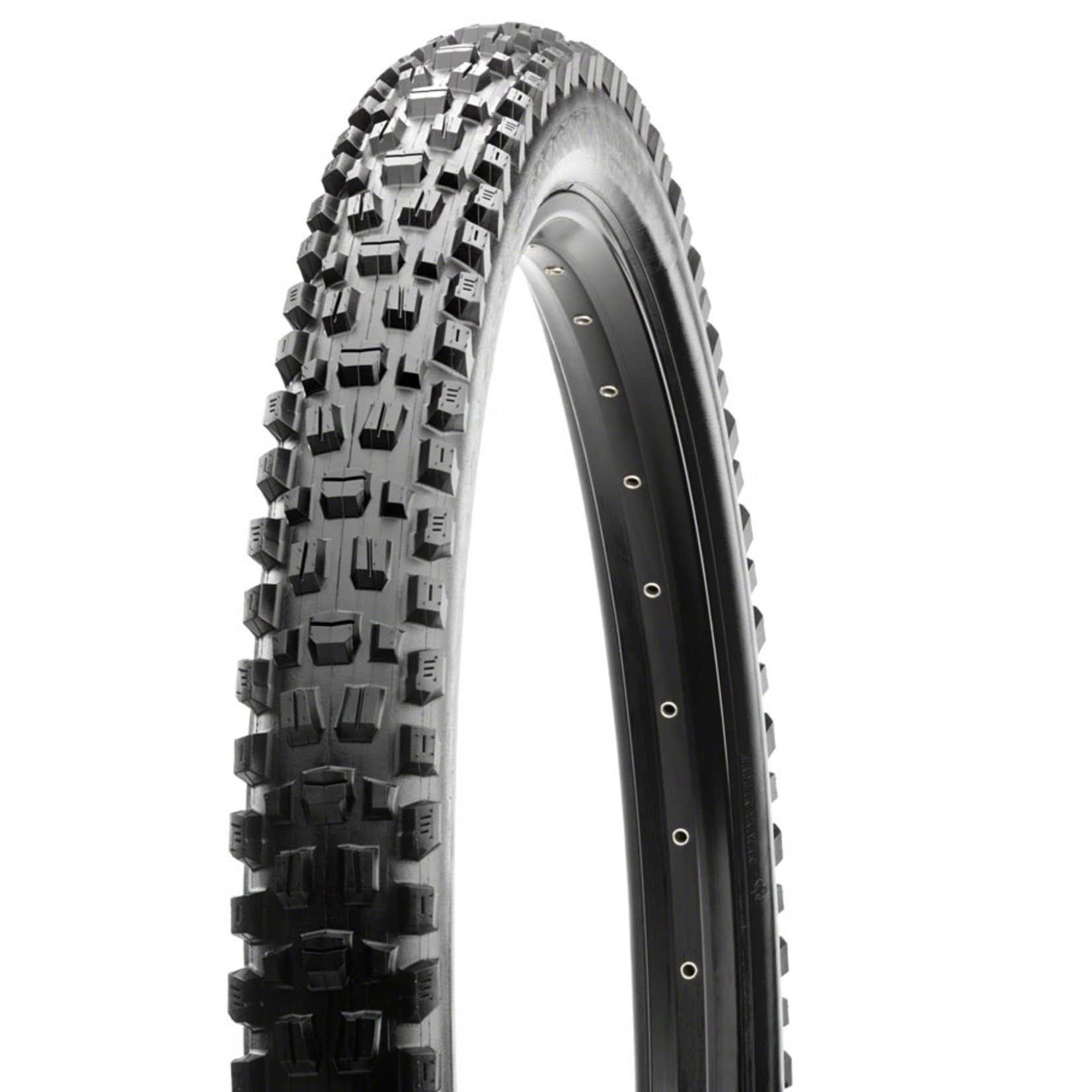 Maxxis Maxxis Assegai Bicycle Tire