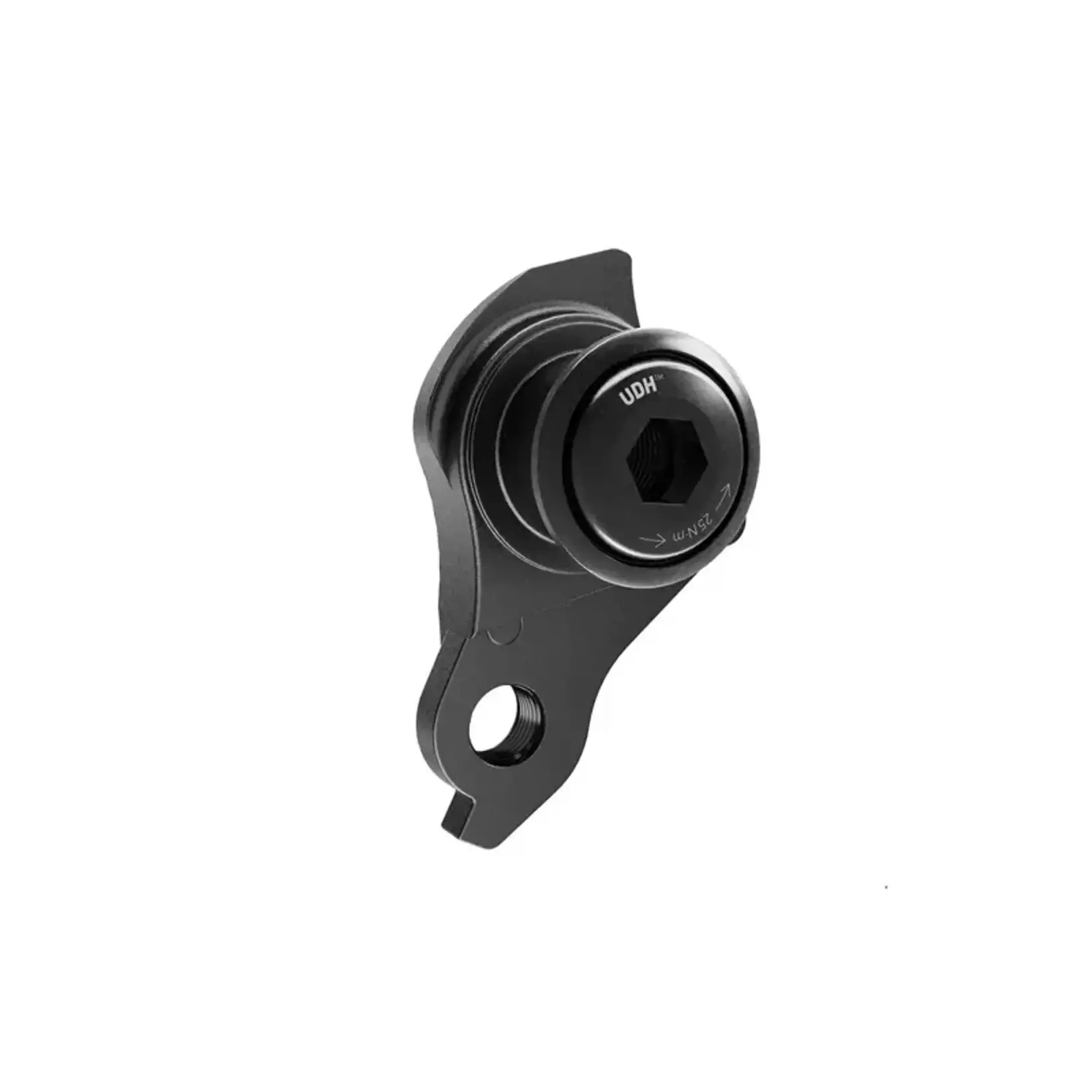 SRAM SRAM UDH Derailleur Hanger - Aluminum, Black