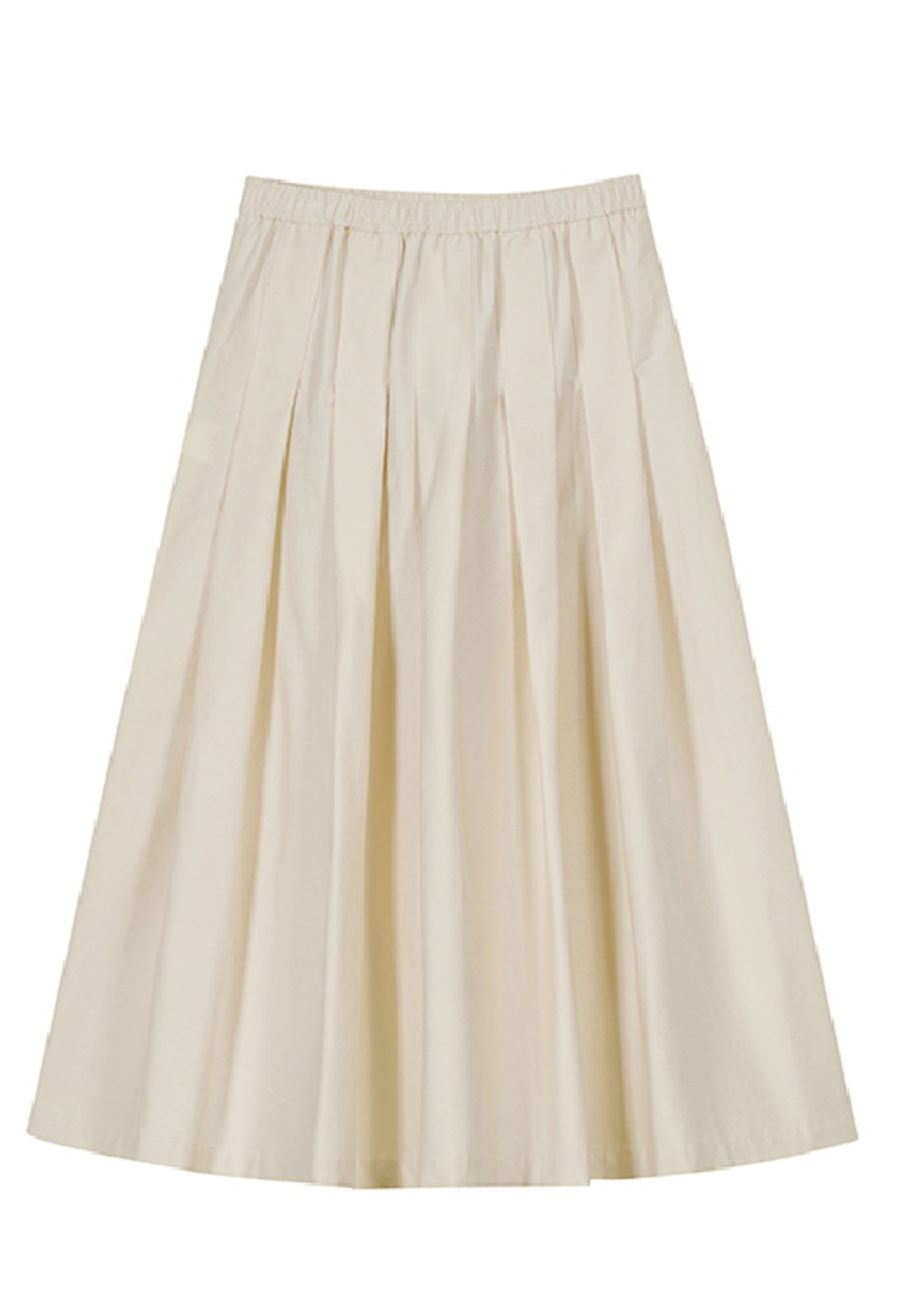 TheLoom Pleated Banding Skirt