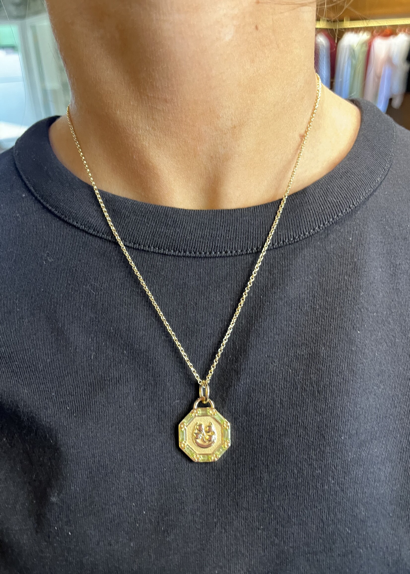 Jane Win Jewelry LUCKY Petite Embellished Coin 16-18" Classic Rolo Chain