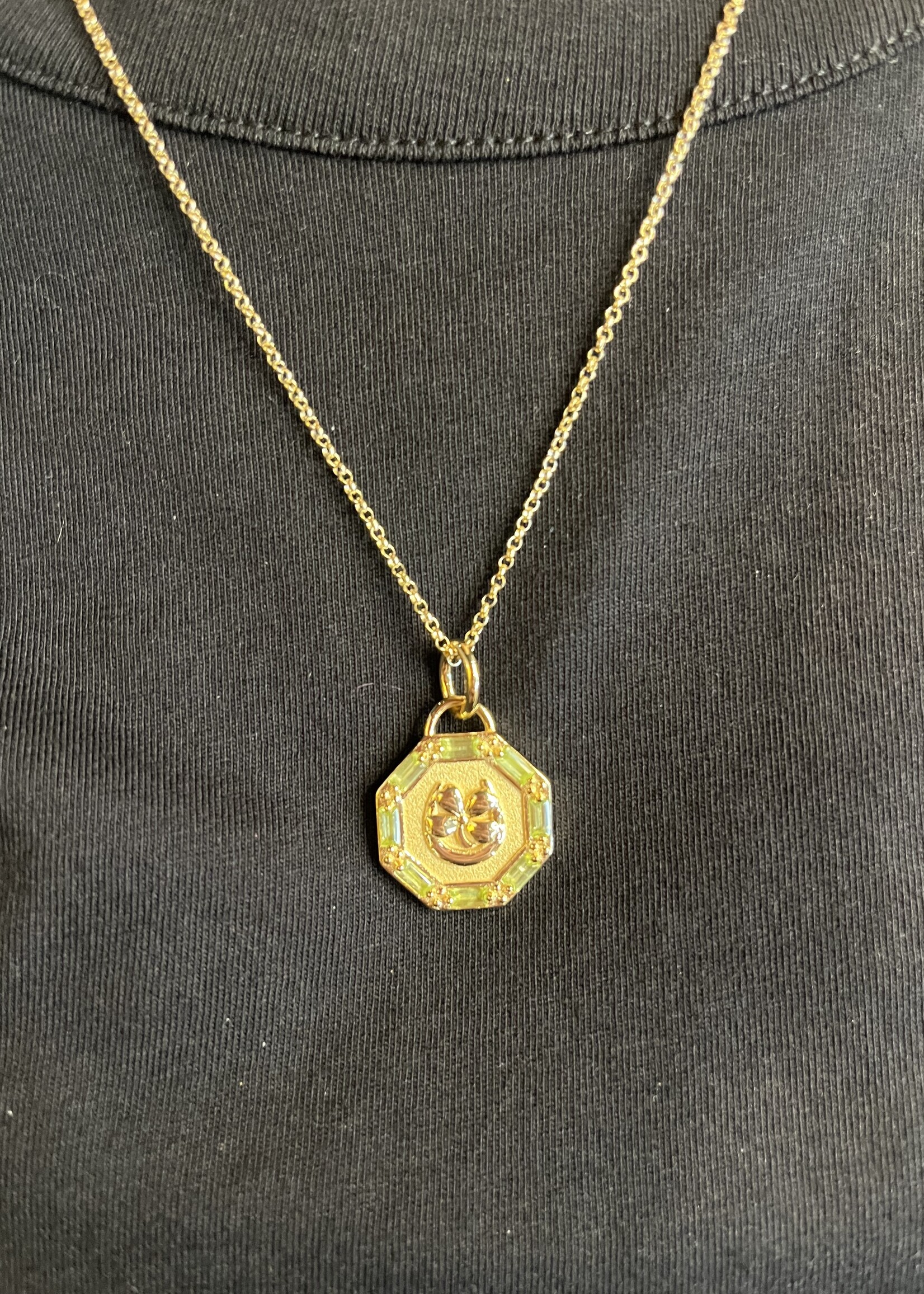 Jane Win Jewelry LUCKY Petite Embellished Coin 16-18" Classic Rolo Chain