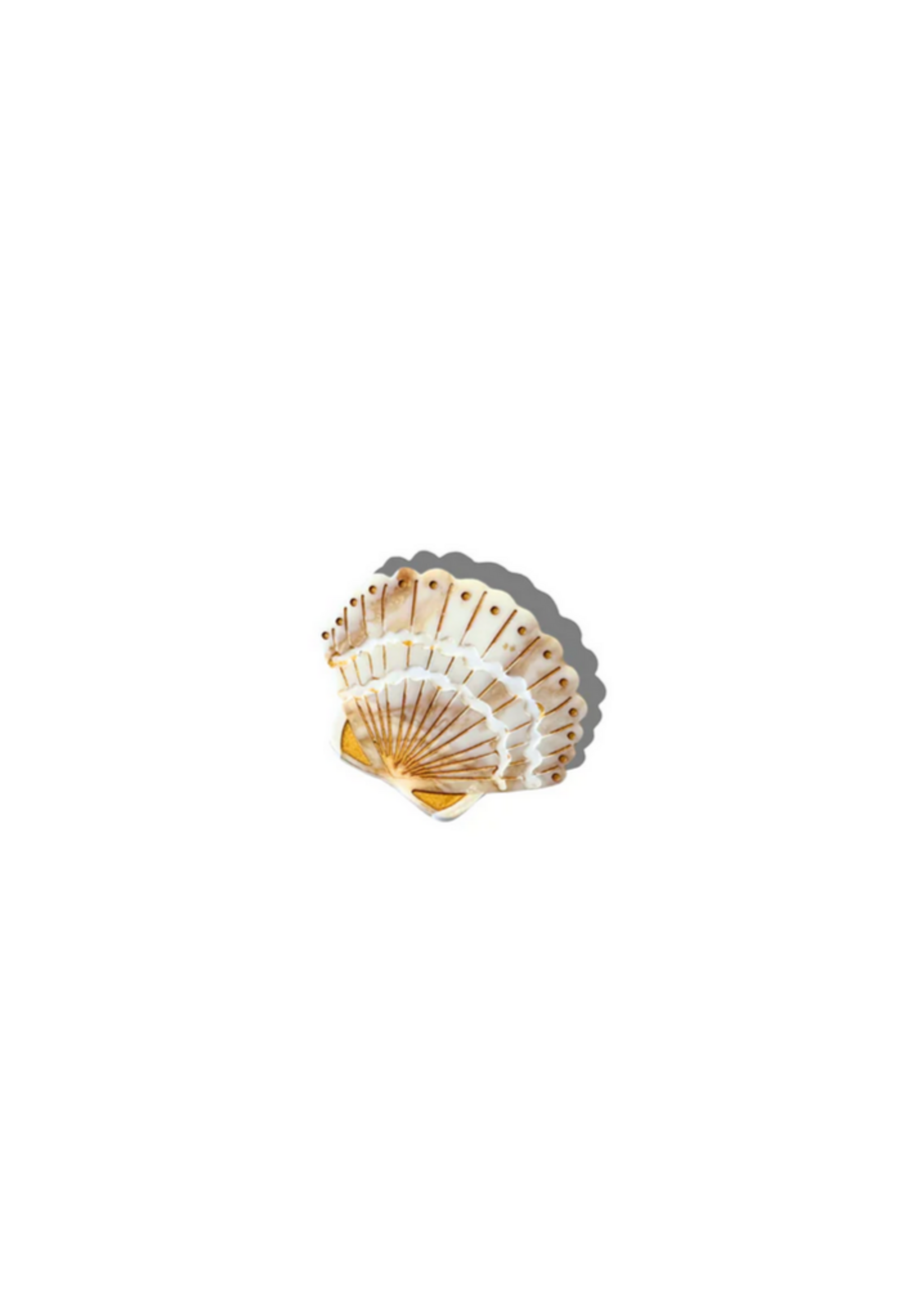 Solar Eclipse Mini Seashell Claw Hair Clip- Golden Sand