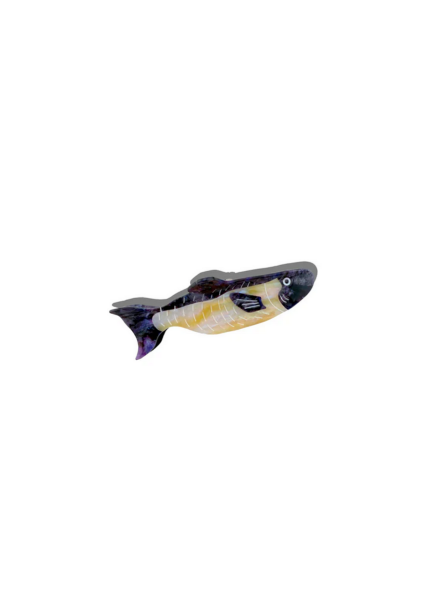 Solar Eclipse Wild Sardine Claw Hair Clip