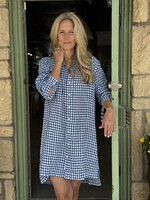 Frank & Eileen Hunter Step-Hem Shirtdress- Blue Check