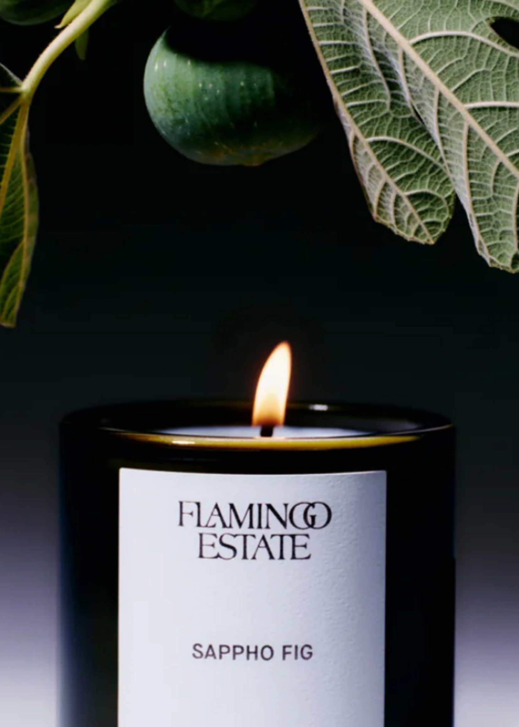 Flamingo Estate Sappho Fig Candle