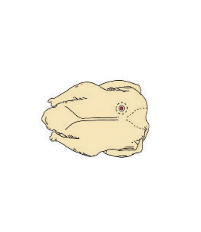 HIC Harold Import Company Pop Out Turkey Timer