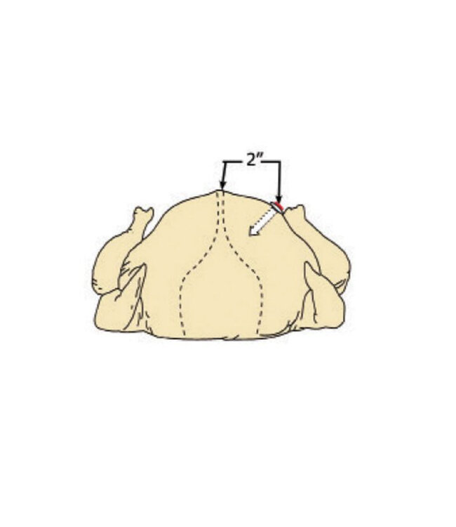 HIC Harold Import Company Pop Out Turkey Timer