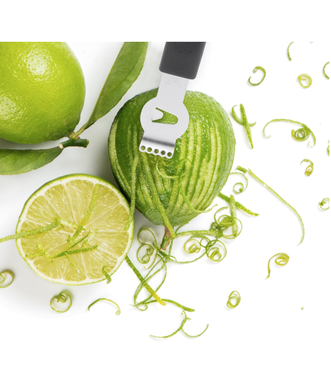 HIC Harold Import Company Citrus Zester Stripper