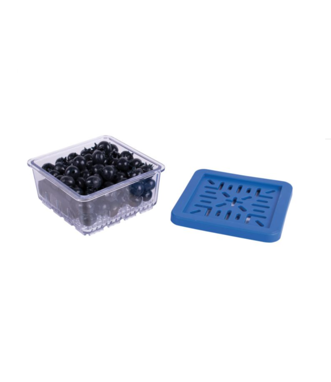 HIC Harold Import Company Berry Box Half Pint