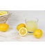 HIC Harold Import Company Citrus Squeezer